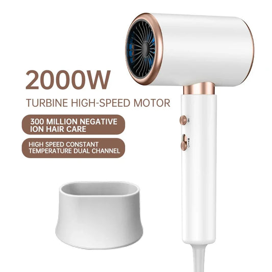 2000W 5th Gear Professional Hair Dryer